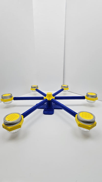 Large klein blue and yellow scent wheel