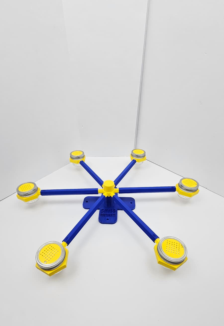 Large klein blue and yellow scent wheel