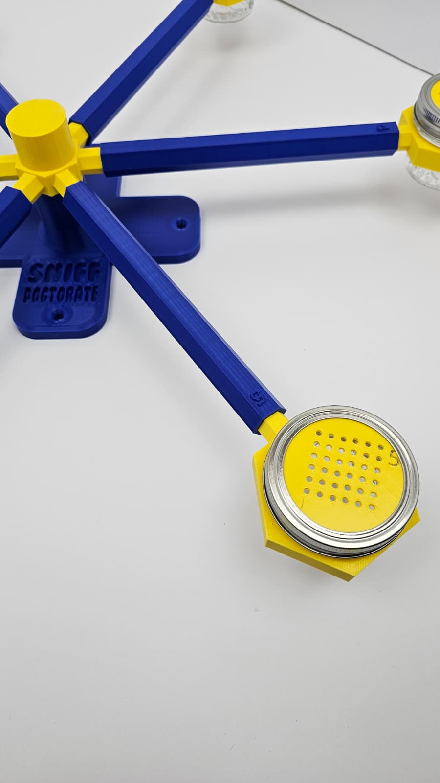 Large klein blue and yellow scent wheel
