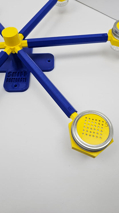 Large klein blue and yellow scent wheel
