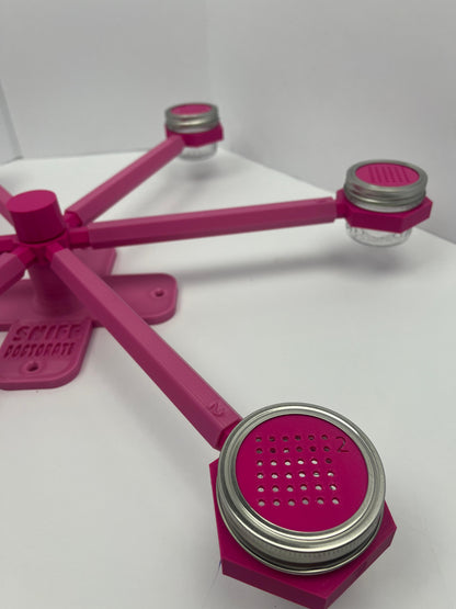 Magenta and Pink scent wheel