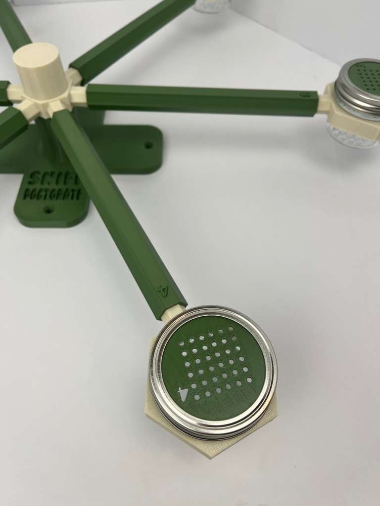 Forest green and bone white scent wheel