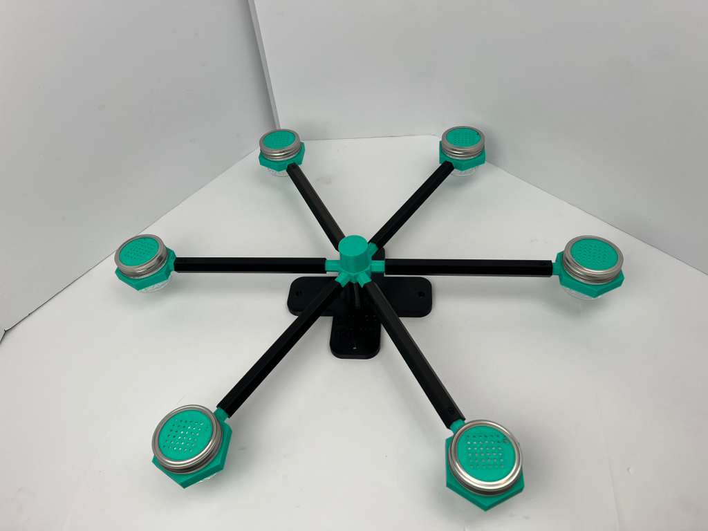 black and mint green scent wheel