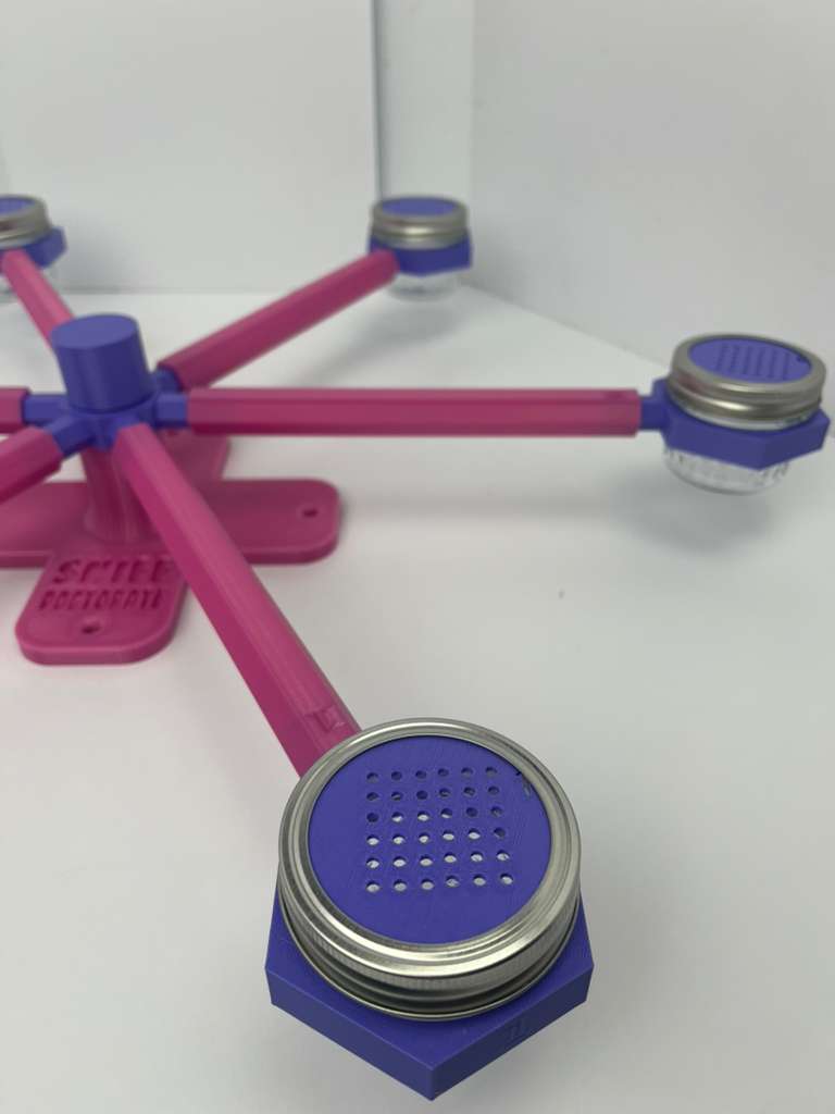Large pink and purple scent wheel