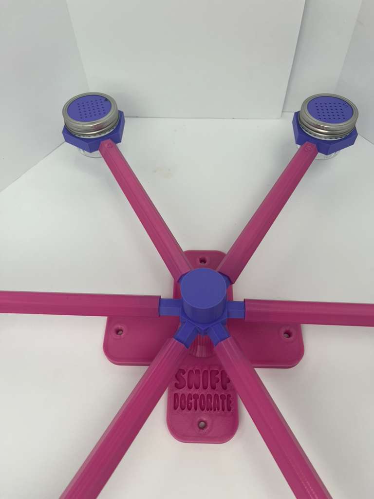 Large pink and purple scent wheel