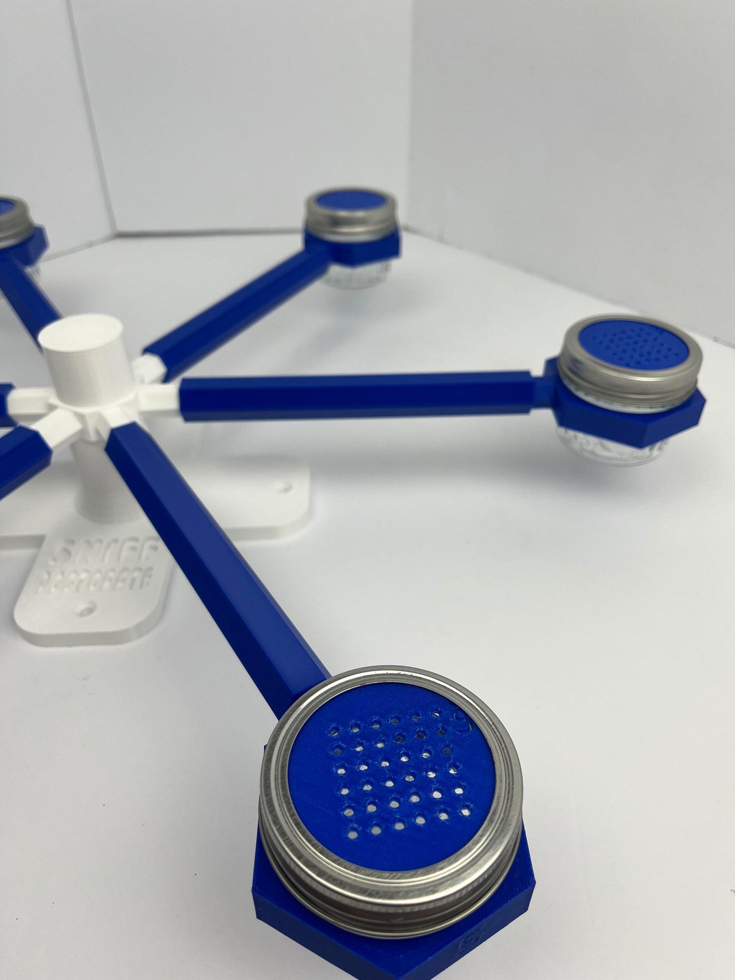 Blue & White Medium/Large | Misprint Scent Wheels