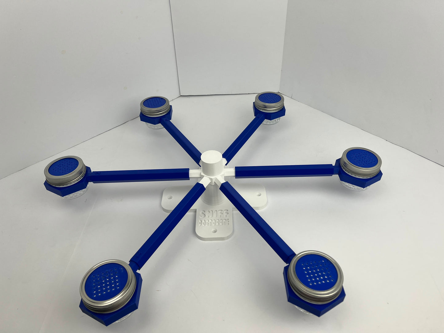 Blue & White Medium/Large | Misprint Scent Wheels