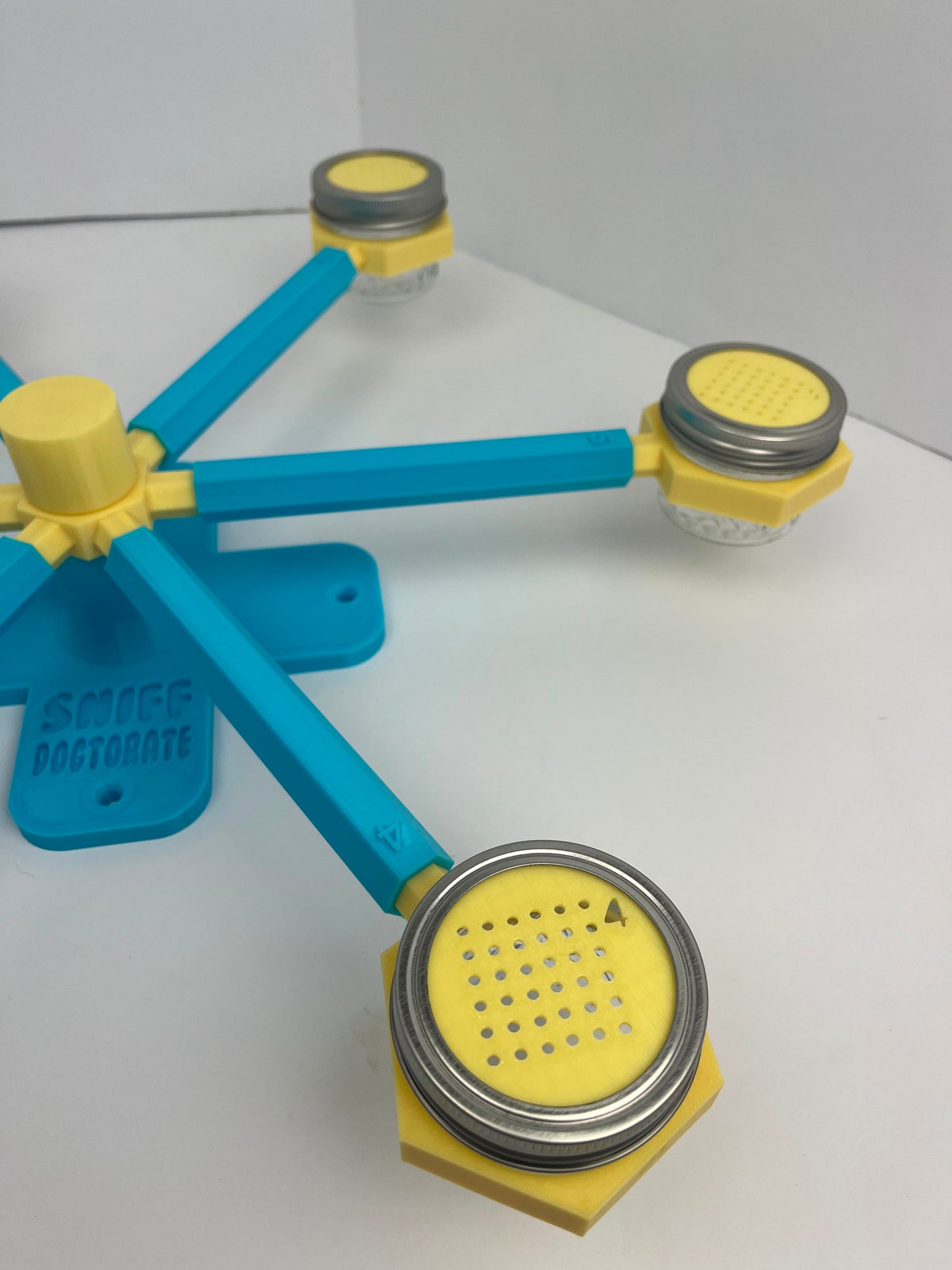Sky Blue & Lemon Yellow | Pre-made Scent Wheel