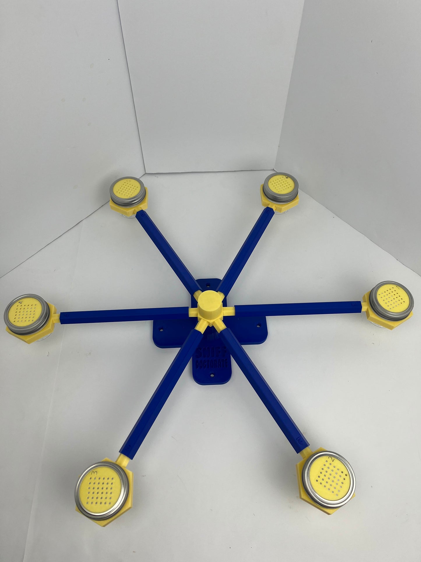 Klein Blue & Lemon Yellow | Pre-made Scent Wheel