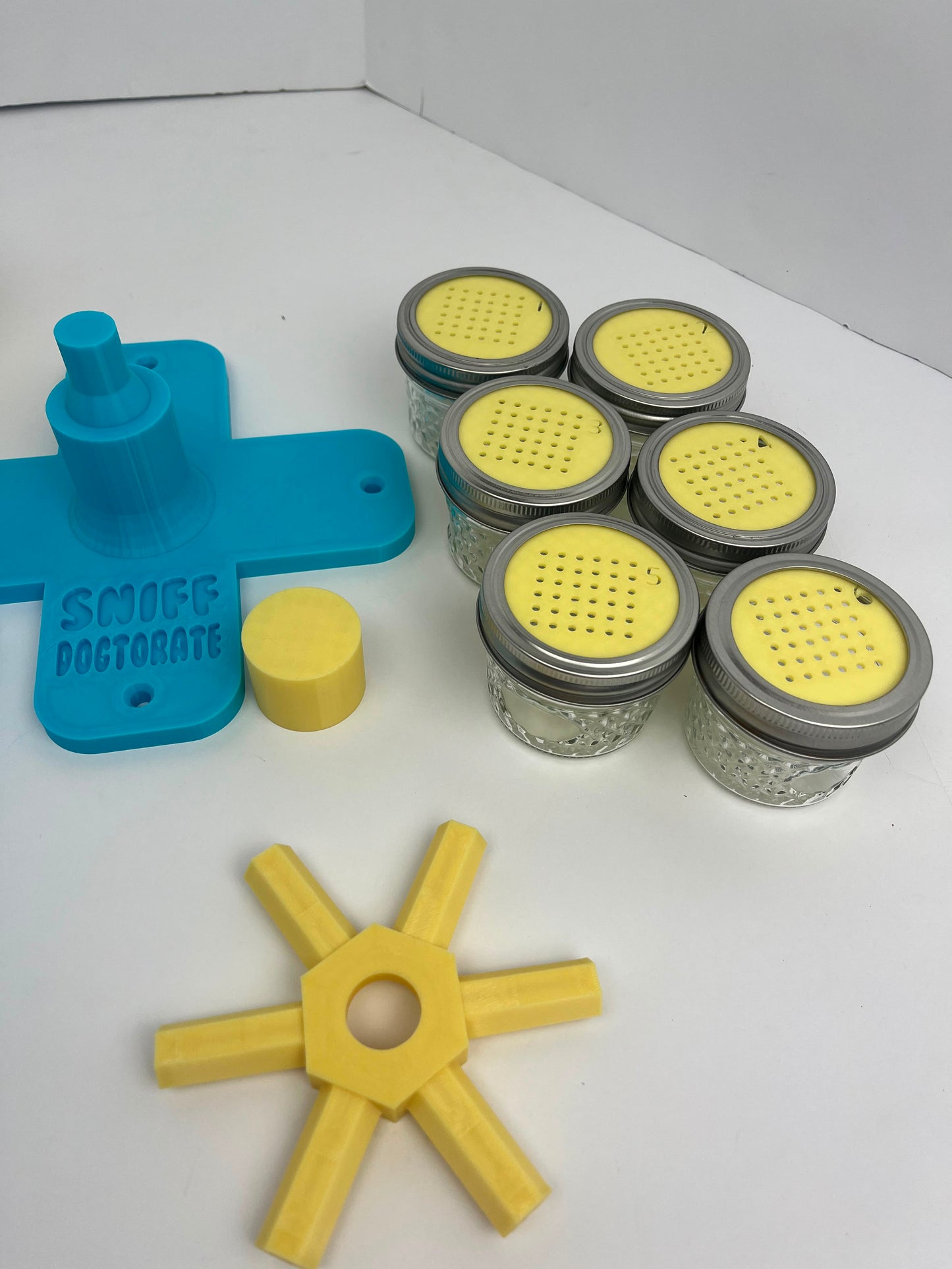 Sky Blue & Lemon Yellow | Pre-made Scent Wheel